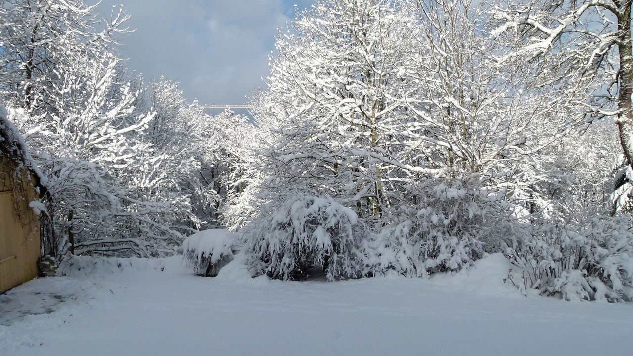 Winter im Garten Winter im Garten